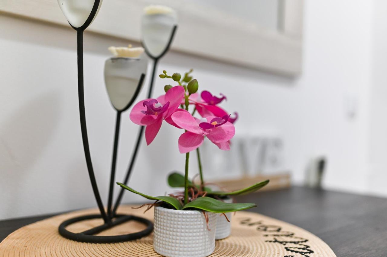 Apartment Ds Zára Kültér fotó